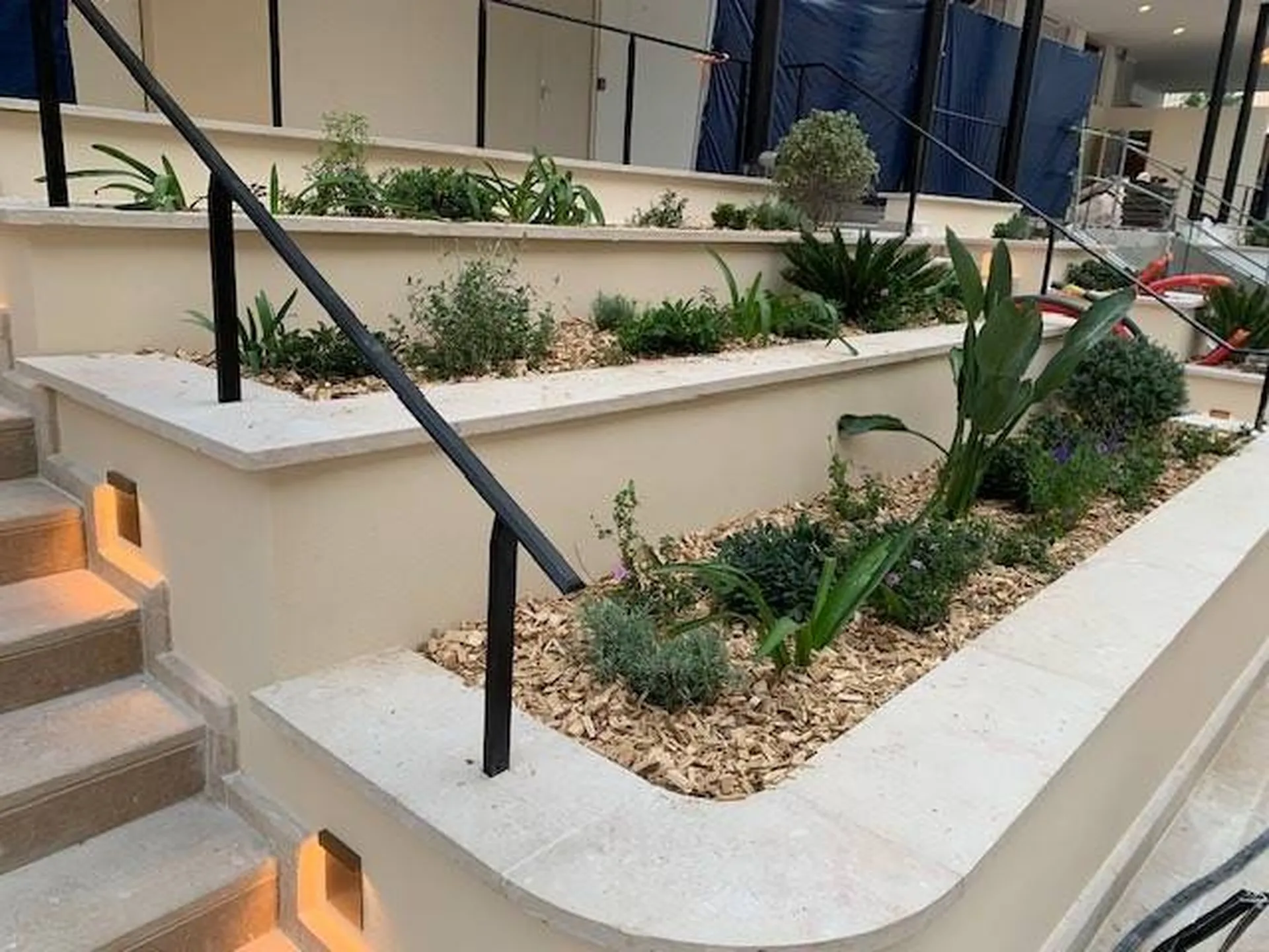 Jardinières plantes méditerranéennes