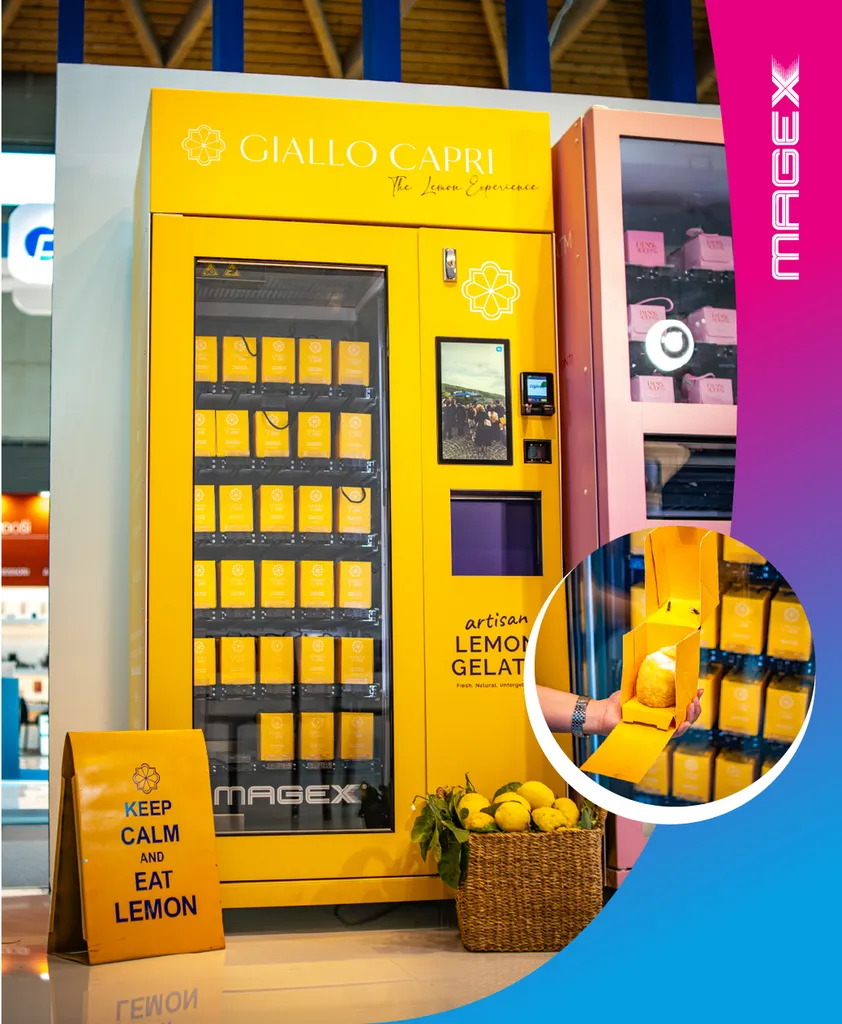 Distributeur automatique de glaces surgelés Magex France