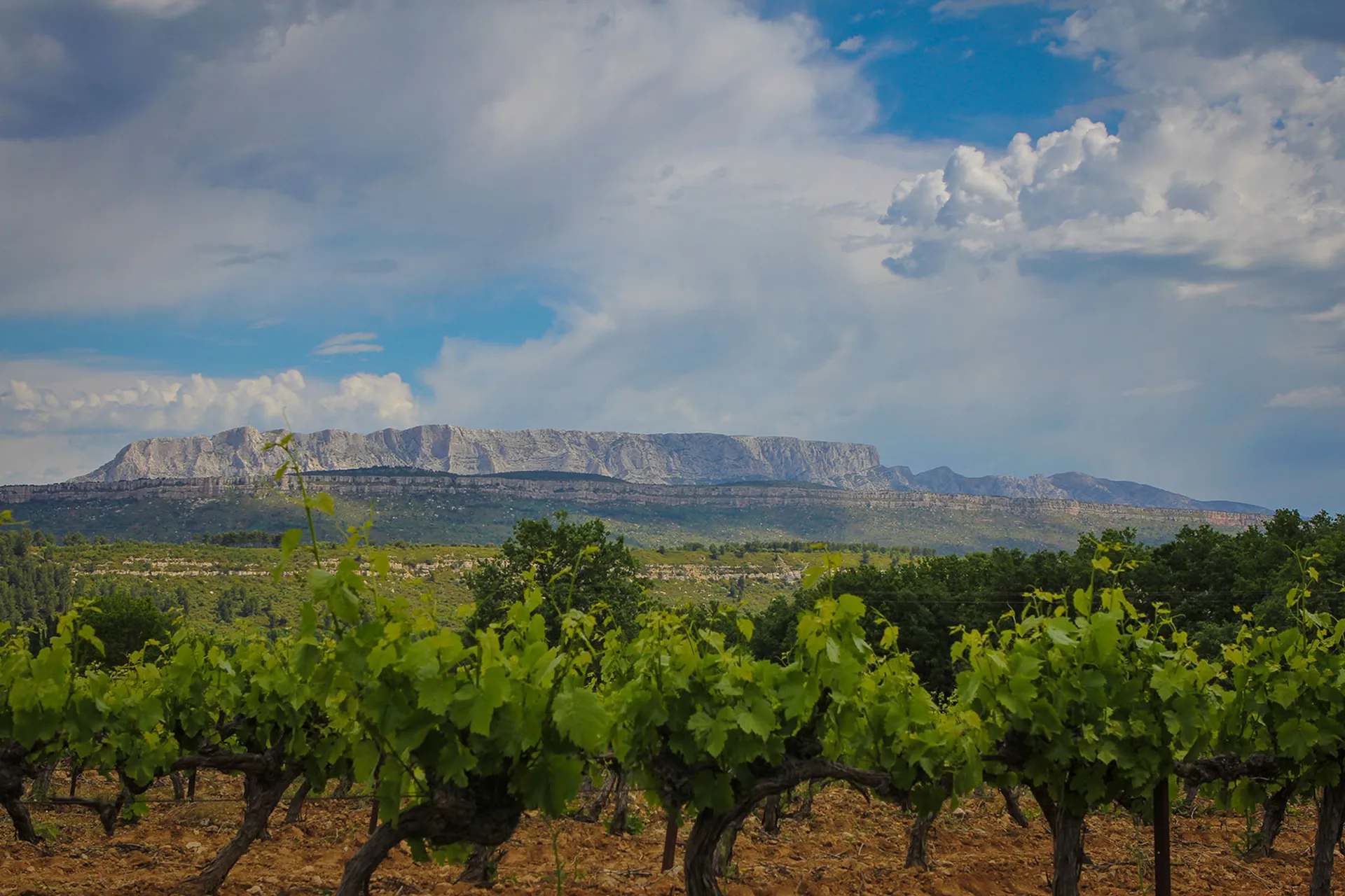 Hôtel proche Château La Coste à Aix-en-Provence
