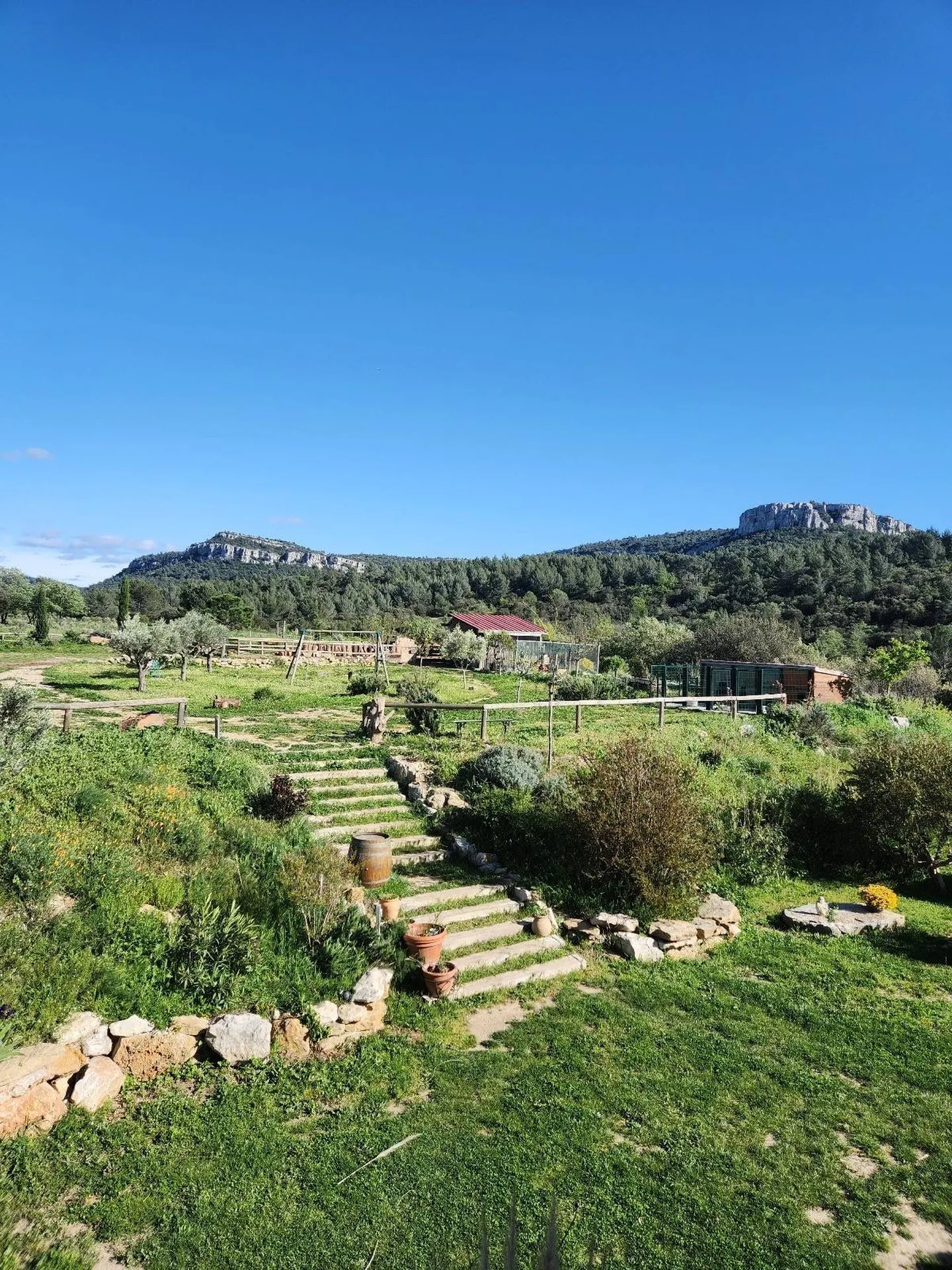 Carrière pour chevaux, box et Pool house dans cette demeure à vendre à Roquefort la Bédoule