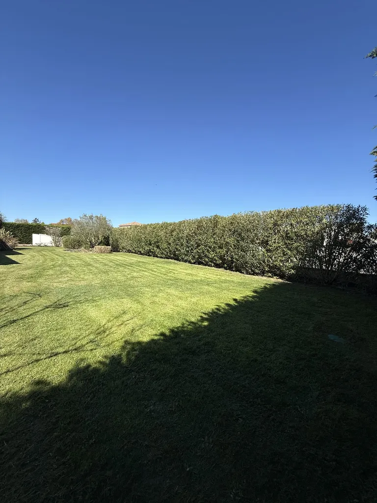 Remise en état complète de jardin à Muret près de Toulouse : entretien espaces verts, taille de haies, tonte, désherbage et élagage professionnel