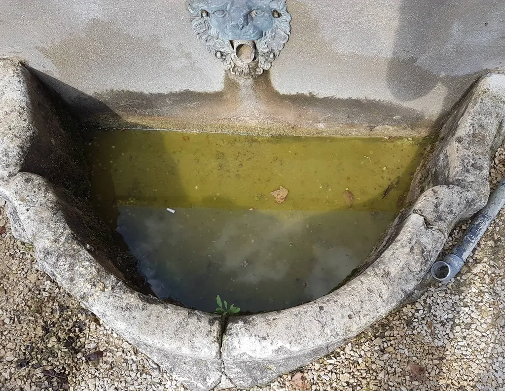 Fontaine avant nettoyage à Cucuron