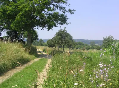 Acquisition de terres agricoles de plusieurs hectares, en Normandie 14