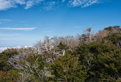 Obligation de débroussaillage de terrain non bâti en PACA