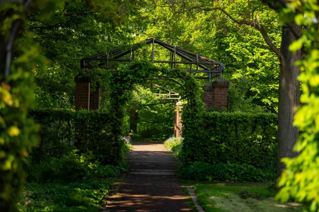 Aménagement d’allée de jardin dans le Gard