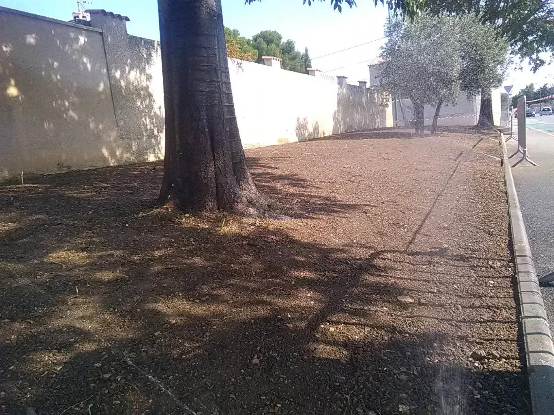 aménagement espace gazon avec un gazon de qualité label rouge à La Fare les Oliviers