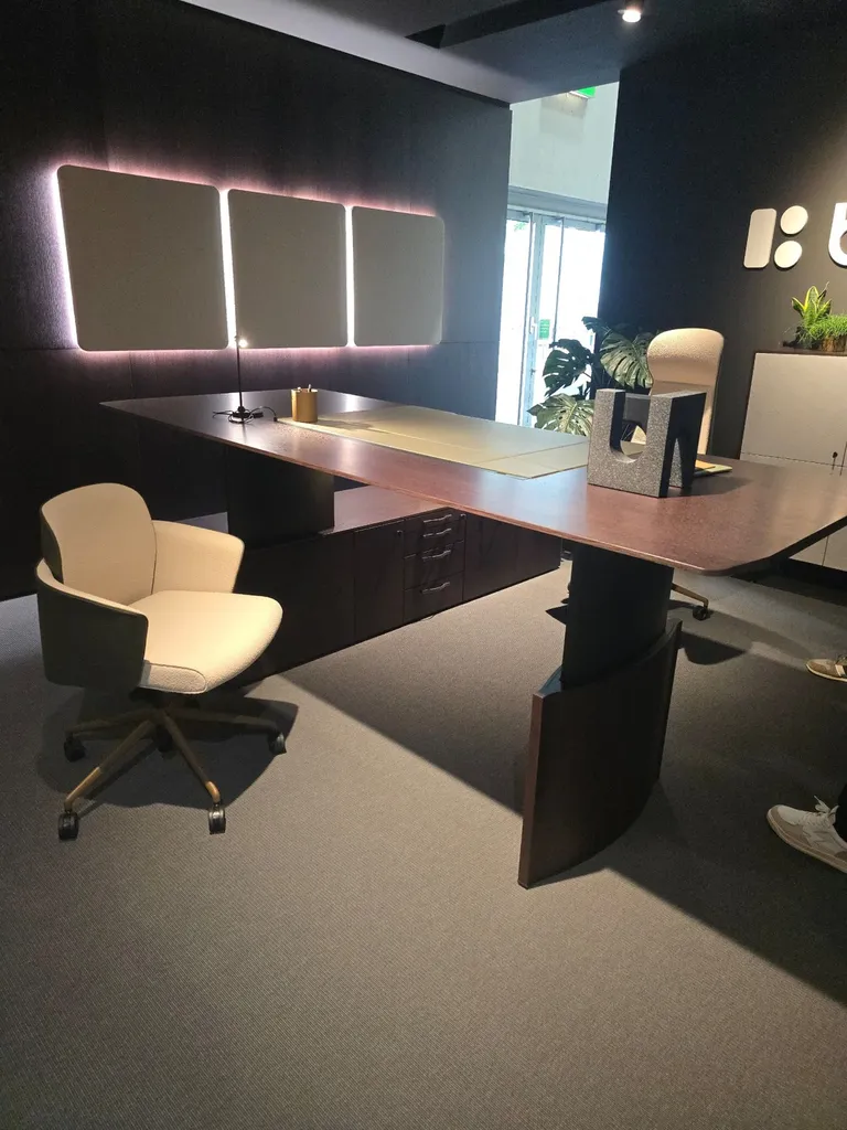 Bureau direction électrique BRALCO Eleva