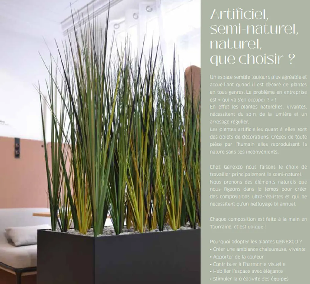 Plantes Vertes pour Bureaux à Alès