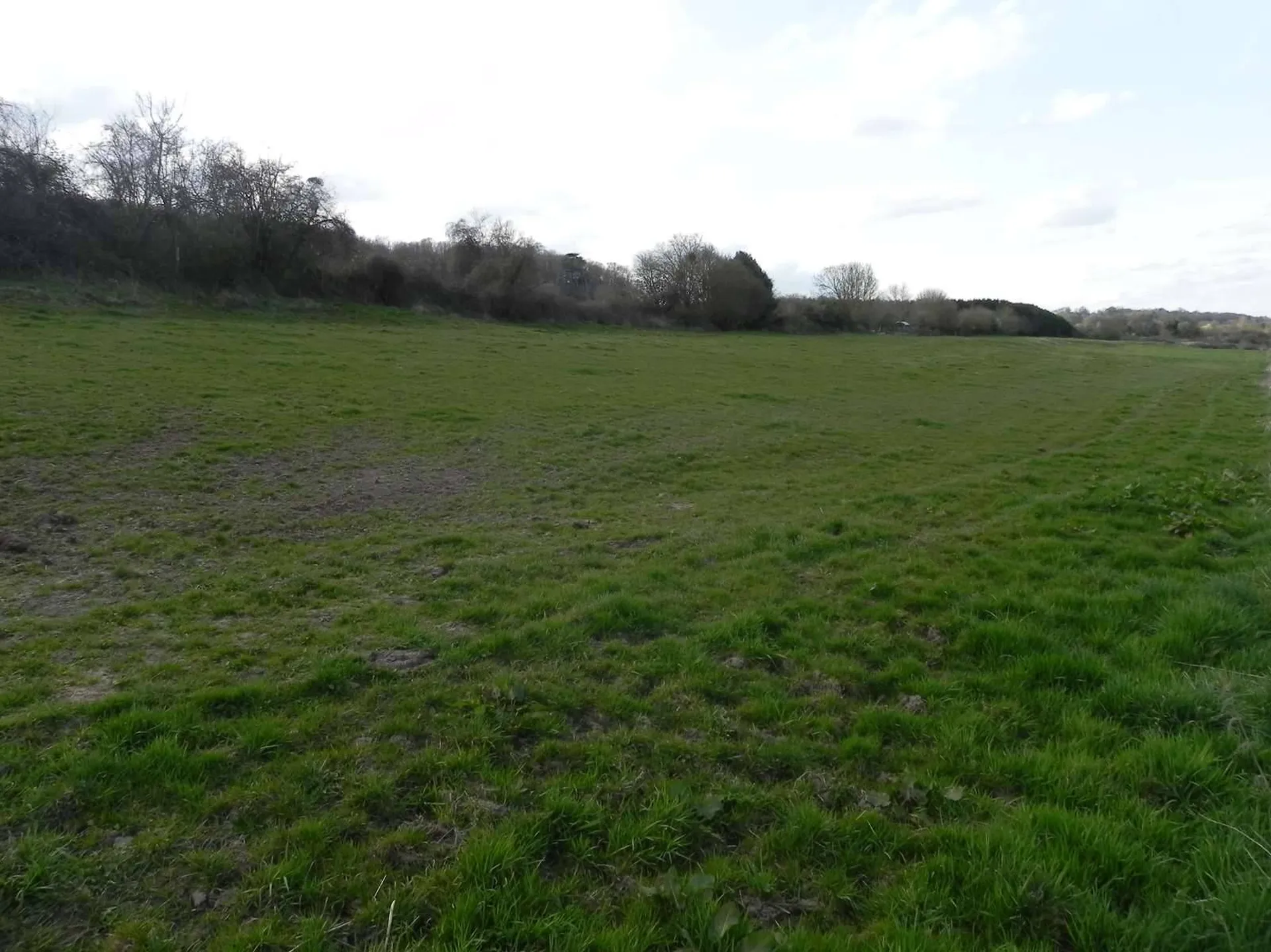 A vendre TERRAIN de 7,50 hectares et ses BATIMENTS AGRICOLES au Sud de LIVAROT 14140