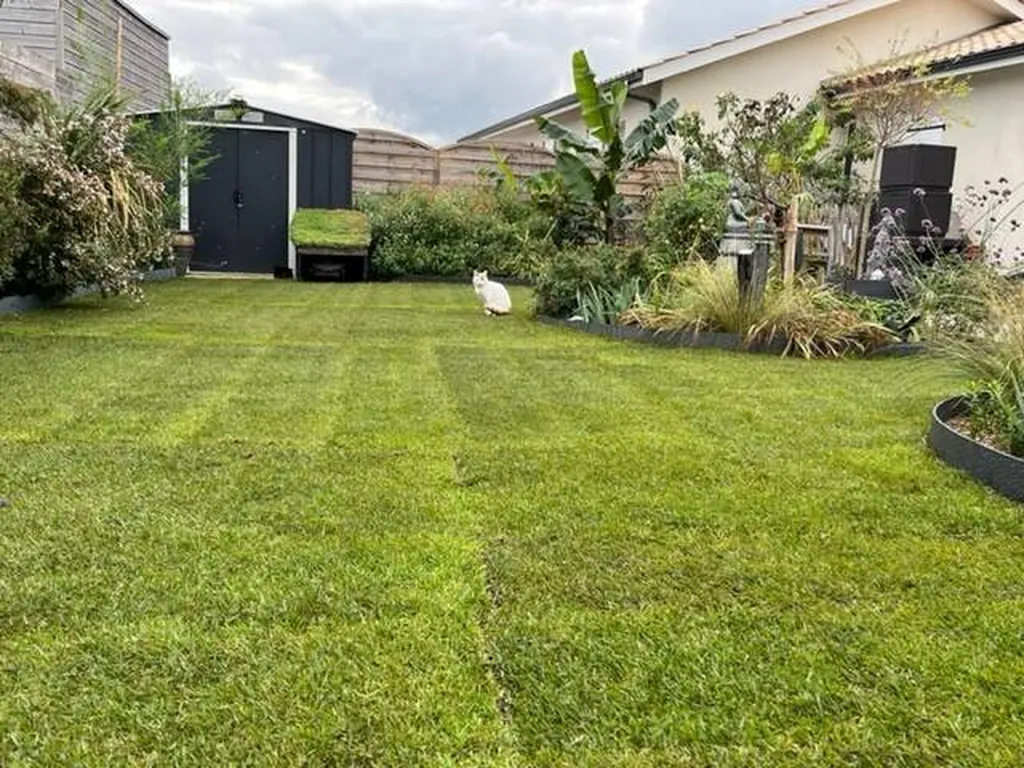 Création d’un gazon en rouleaux dans un jardin situé dans les Landes