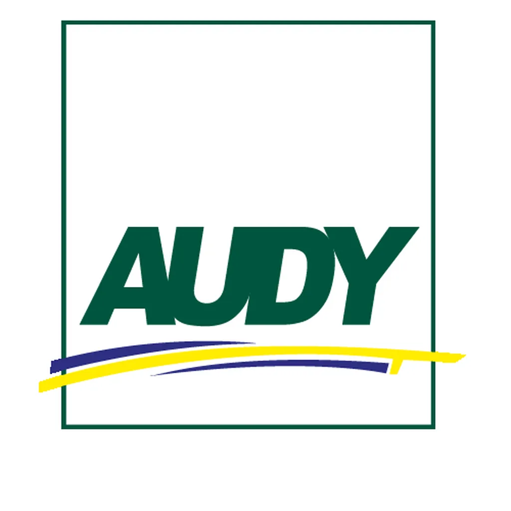 ETS Audy votre scierie à Salaunes dans le médoc