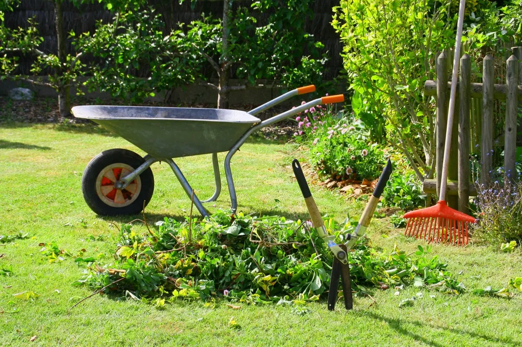 Création complète de jardins méditerranéens sur mesure à Montpellier et dans tout le département de l'Hérault