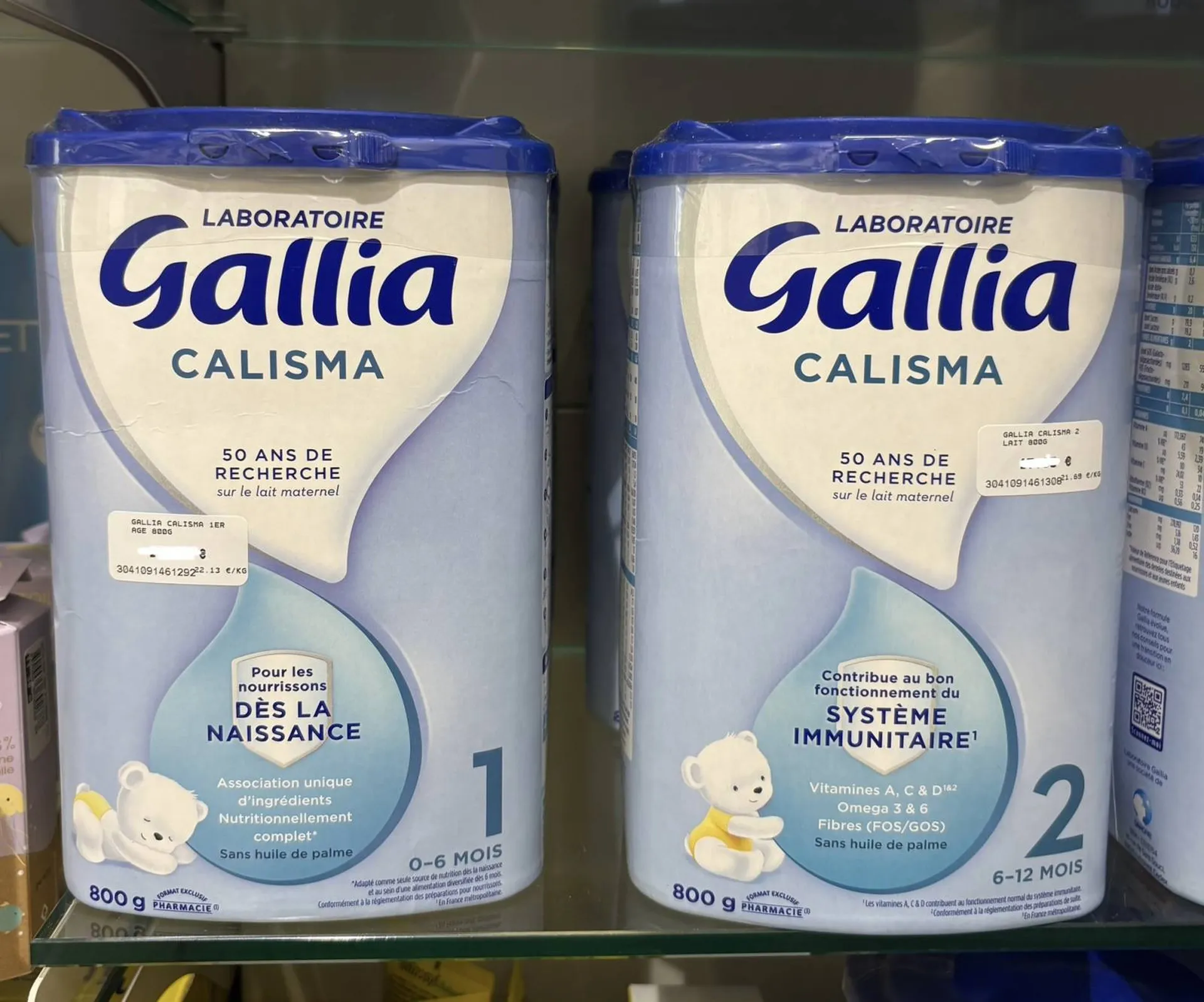GALLIA CALISMA 