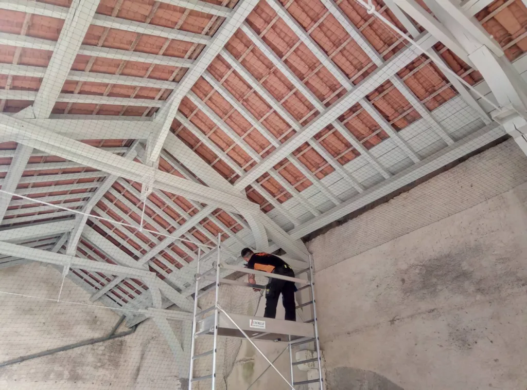 faire fuir les pigeons à arles