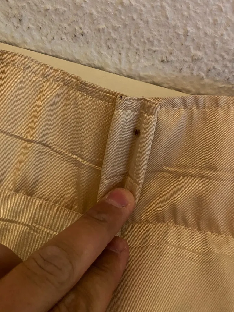 Invasion de punaises de lit dans les chambres d’un appartement à Salon-de-Provence dans les Bouches-du-Rhône (13)