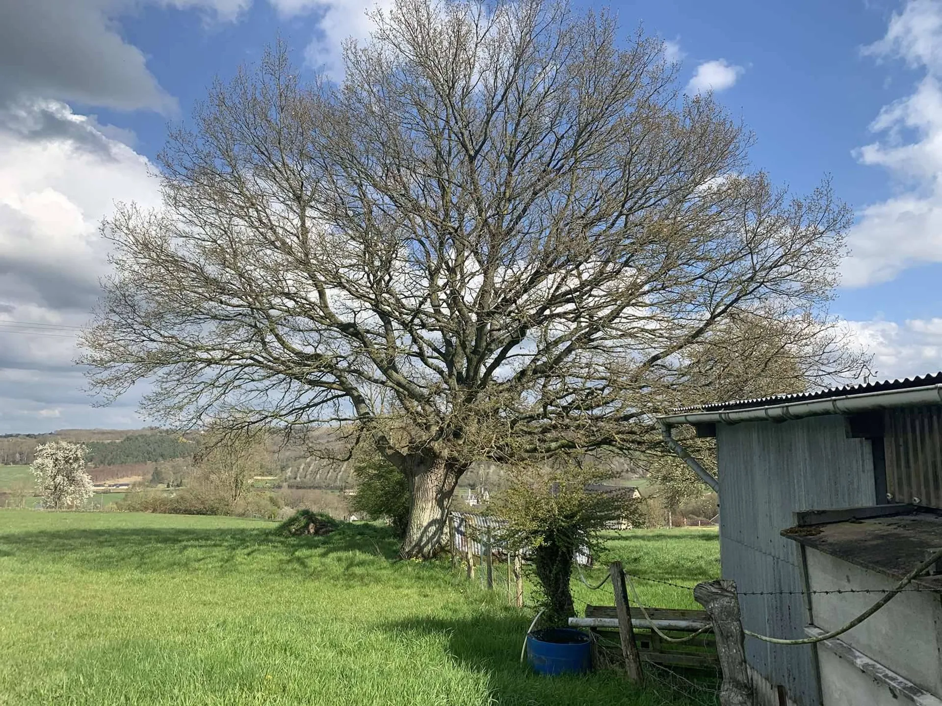 A acquérir dans le PAYS D'AUGE DU CALVADOS 14, à 10 mn de la ville de LISIEUX (14100), de son centre ville et de sa gare SNCF, propriété à rénover sur presque 3 Ha de terrain