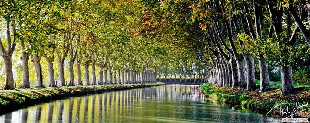 Canal du Midi à Vias-Plage à faire en vélo proche de Béziers