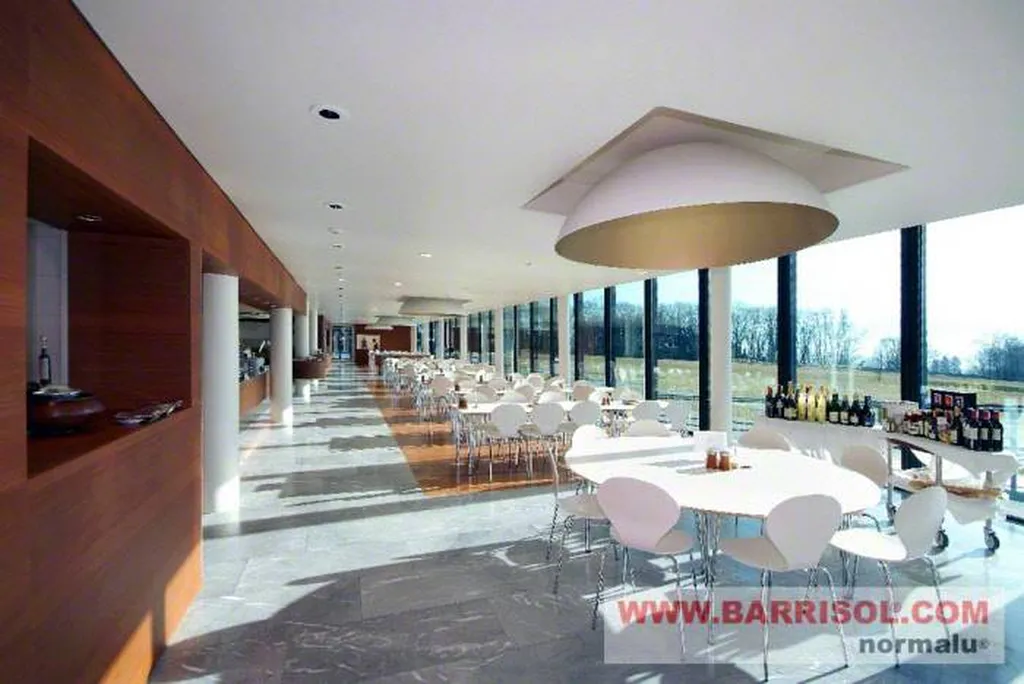 Artisan pour création de faux plafonds ou rénovation de plafond pour restaurant sur Muret
