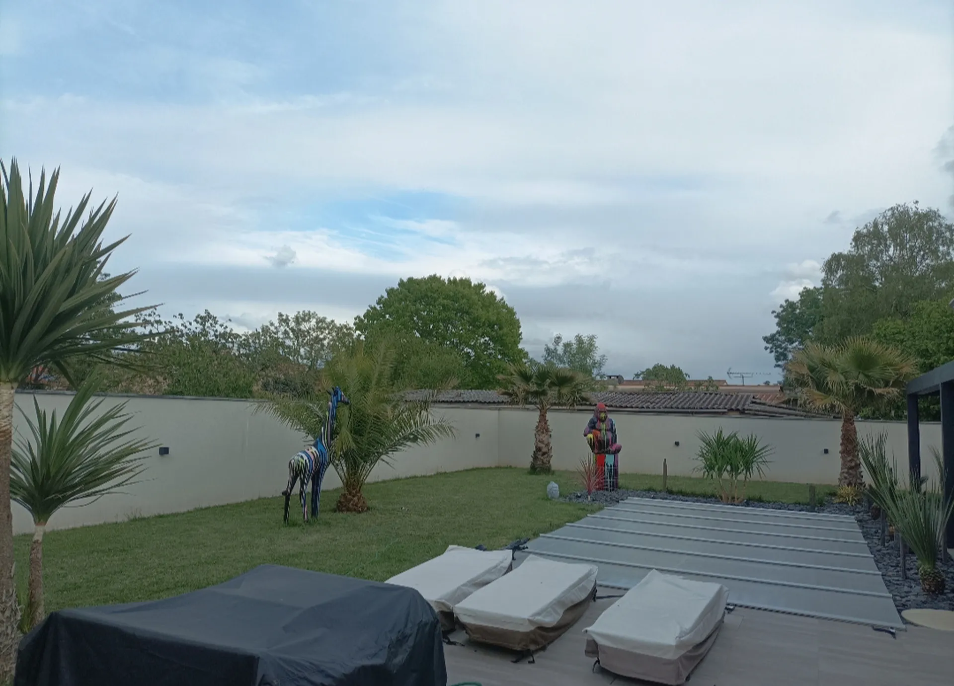 Entretien d'un jardin exotique sur Cugnaux, nettoyage de palmiers, yucca, dracaena...