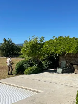 Taille d'arbres et végétaux dans le 84