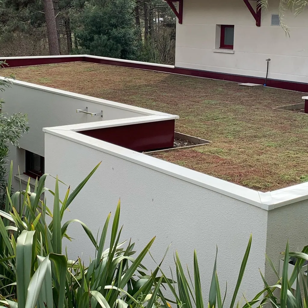 Professionnel de l’installation d’une toiture végétalisée