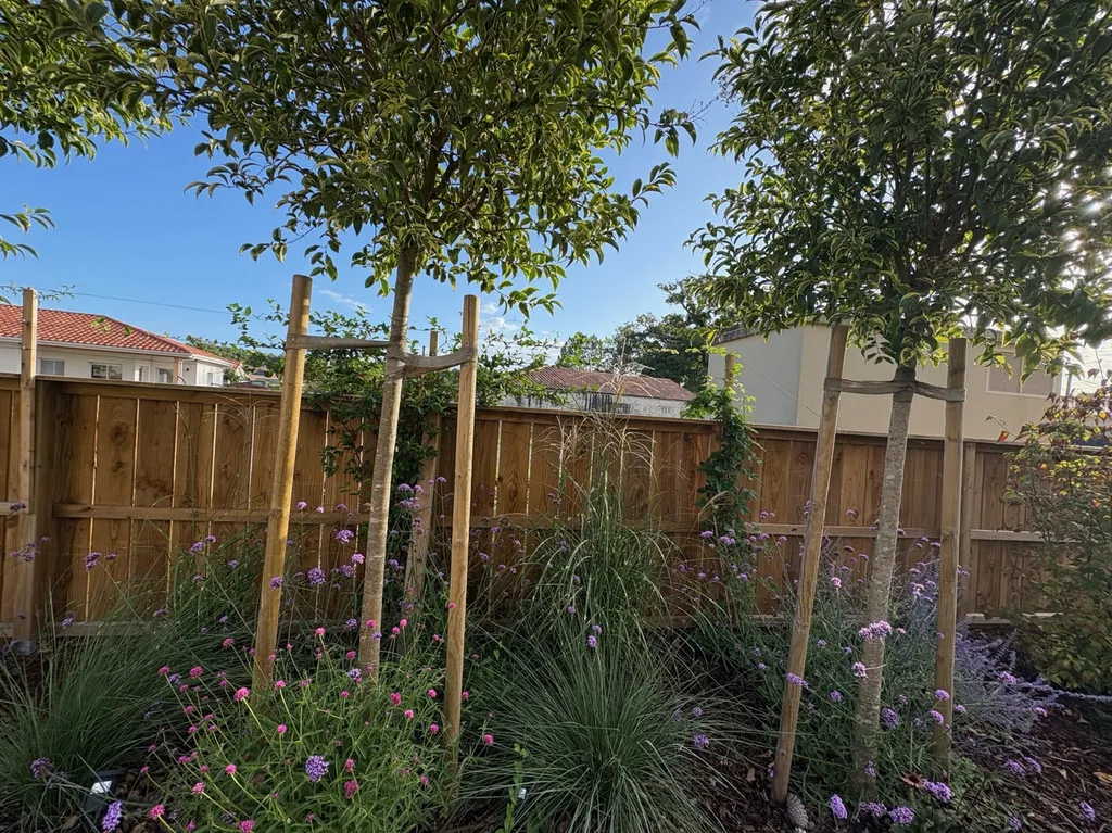 Aménagement complet de jardin à Mimizan – Création de massifs, plantation de vivaces et gazon micro-trèfle
