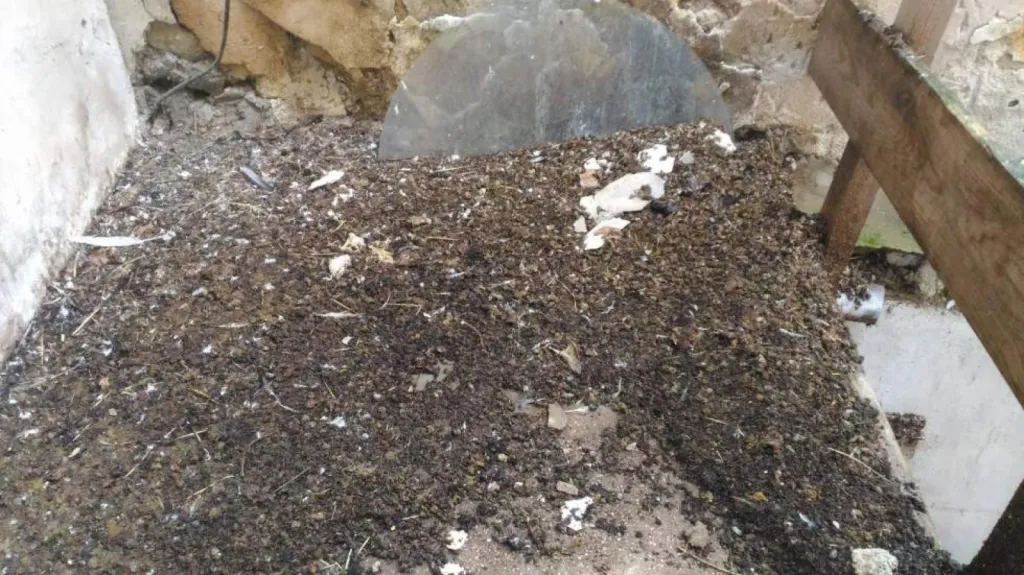 Notre zone d'activité pour ce servicePose de filets anti-pigeons