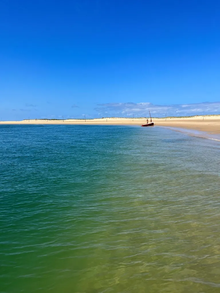 Découvrez l'île aux Oiseaux, les cabanes tchanquées, le Cap Ferret et Arguin avec dégustation d'huîtres et vin.