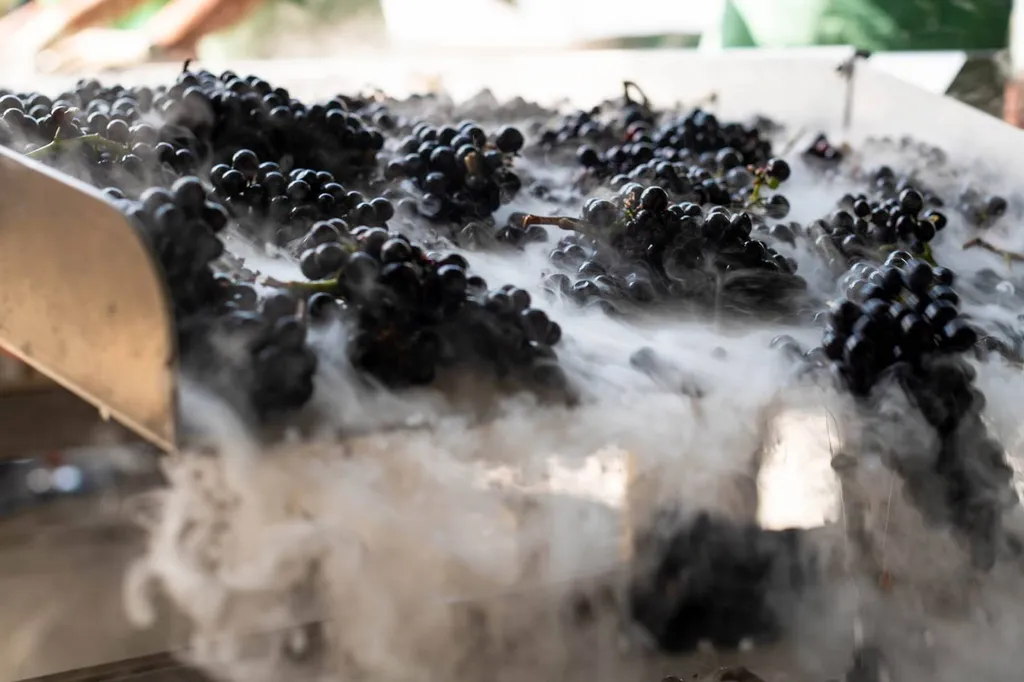 vente et livraison de glace carbonique Aix en provence