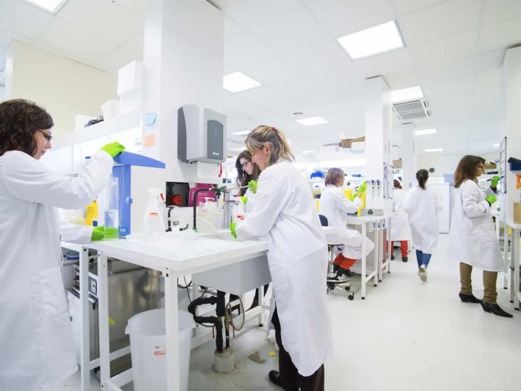 CLB recherche salle paillasse