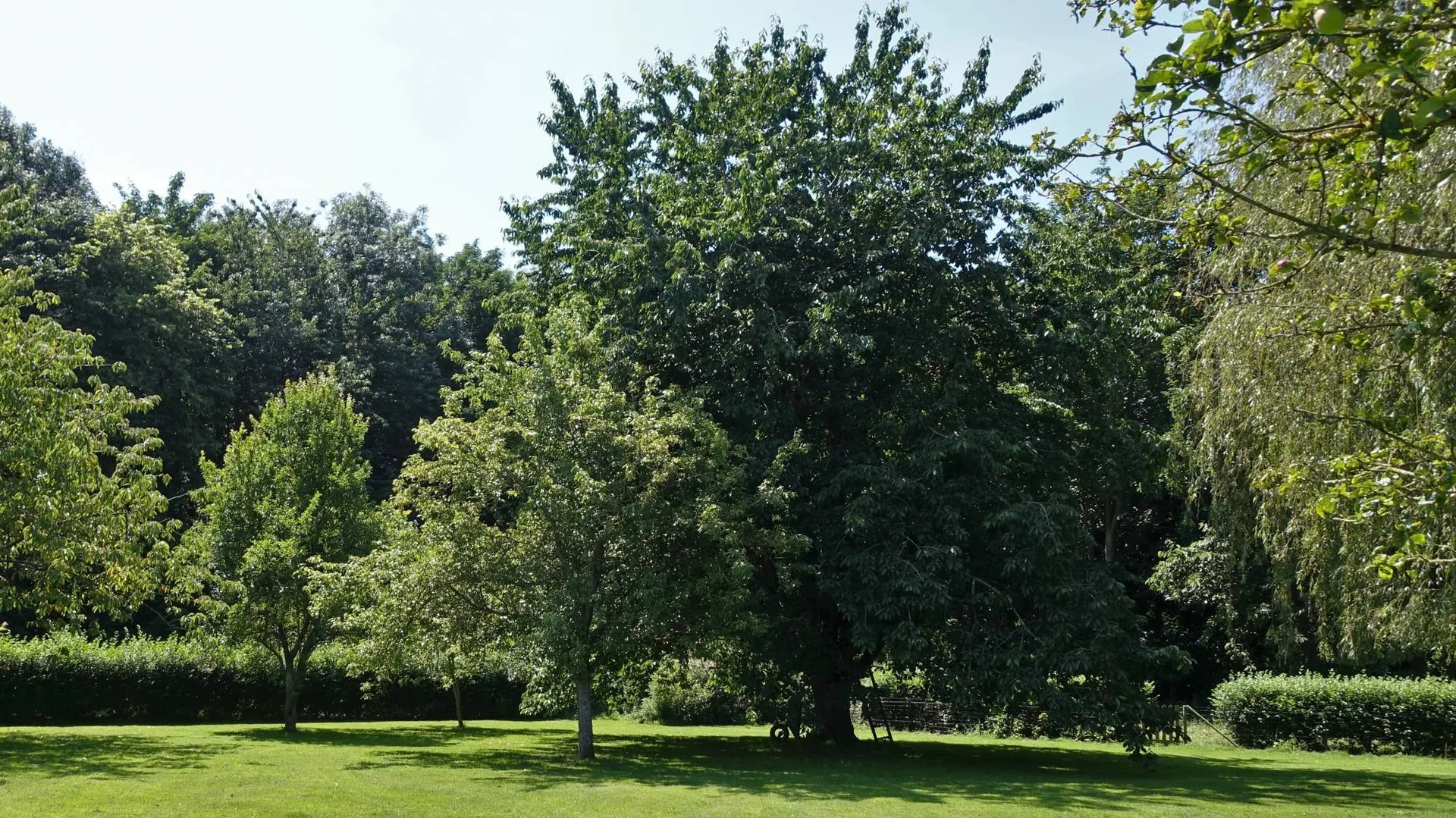 Maison de ville gros potentiel chambres d'hôtes, 7 chambres (dont 3 chambres d'hôtes), 3 salles d'eau à 3 min du front de mer. Axe Le Tréport 76470 - Saint-Valery-sur-Somme 80230