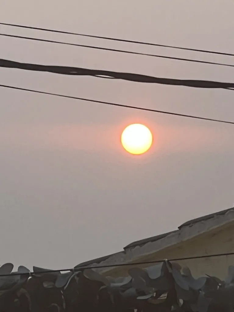 Organisation du mariage de Charlotte et Matthieu de Martigues sur le thème Or et Blanc