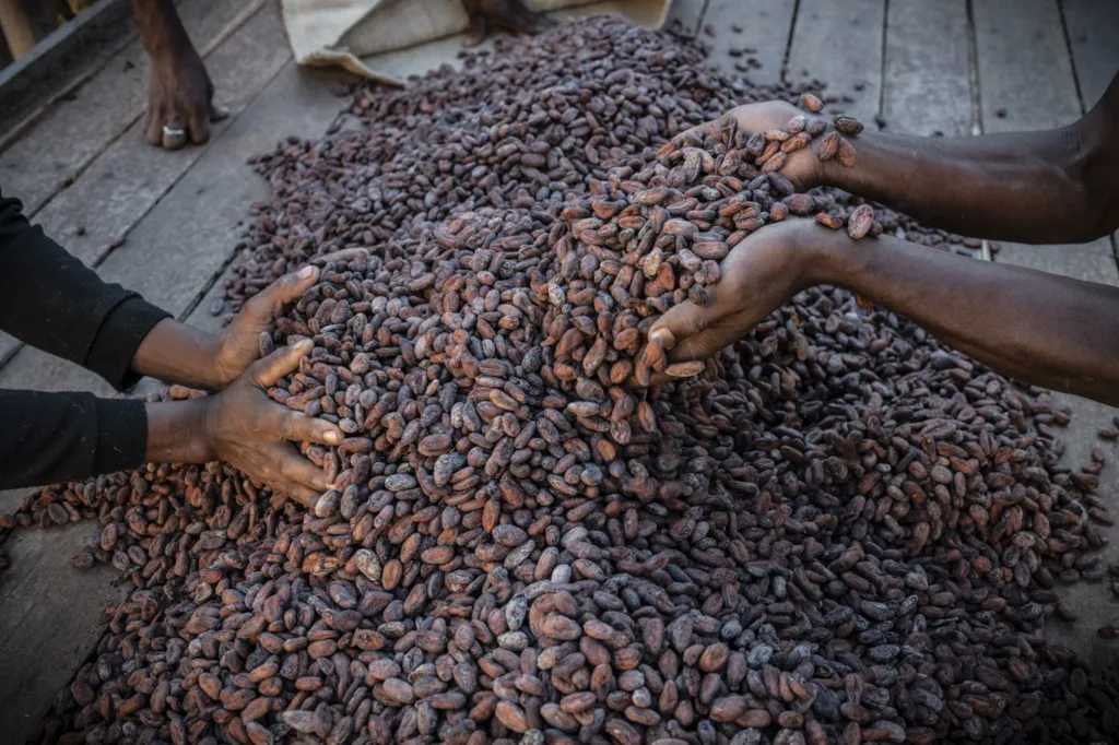 De Madagascar à Marseille, l’histoire d’un chocolat d’exception né d’un amour pour la terre et les hommes
