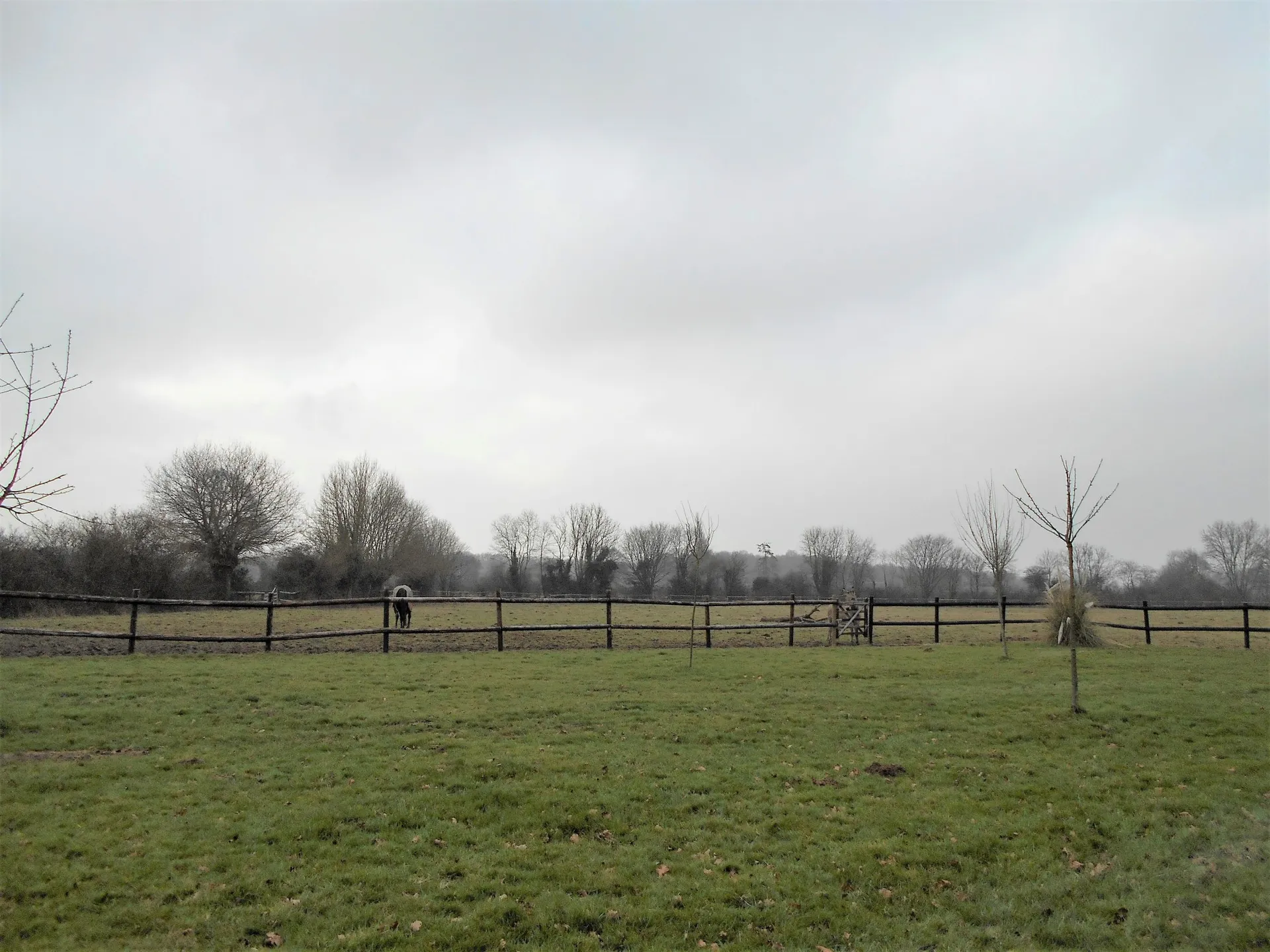 ACHETEZ HARAS ET FERMES DANS LE PAYS D'AUGE EN NORMANDIE