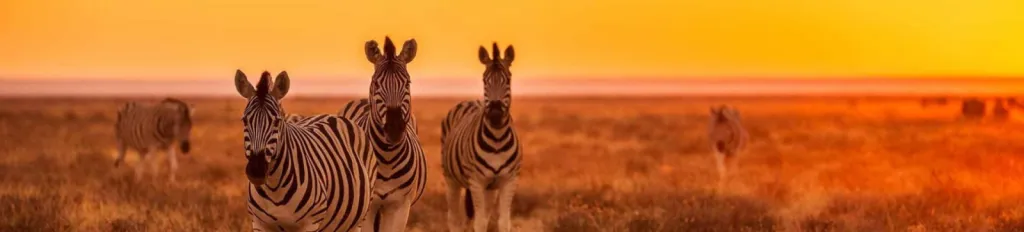 voyage en Afrique