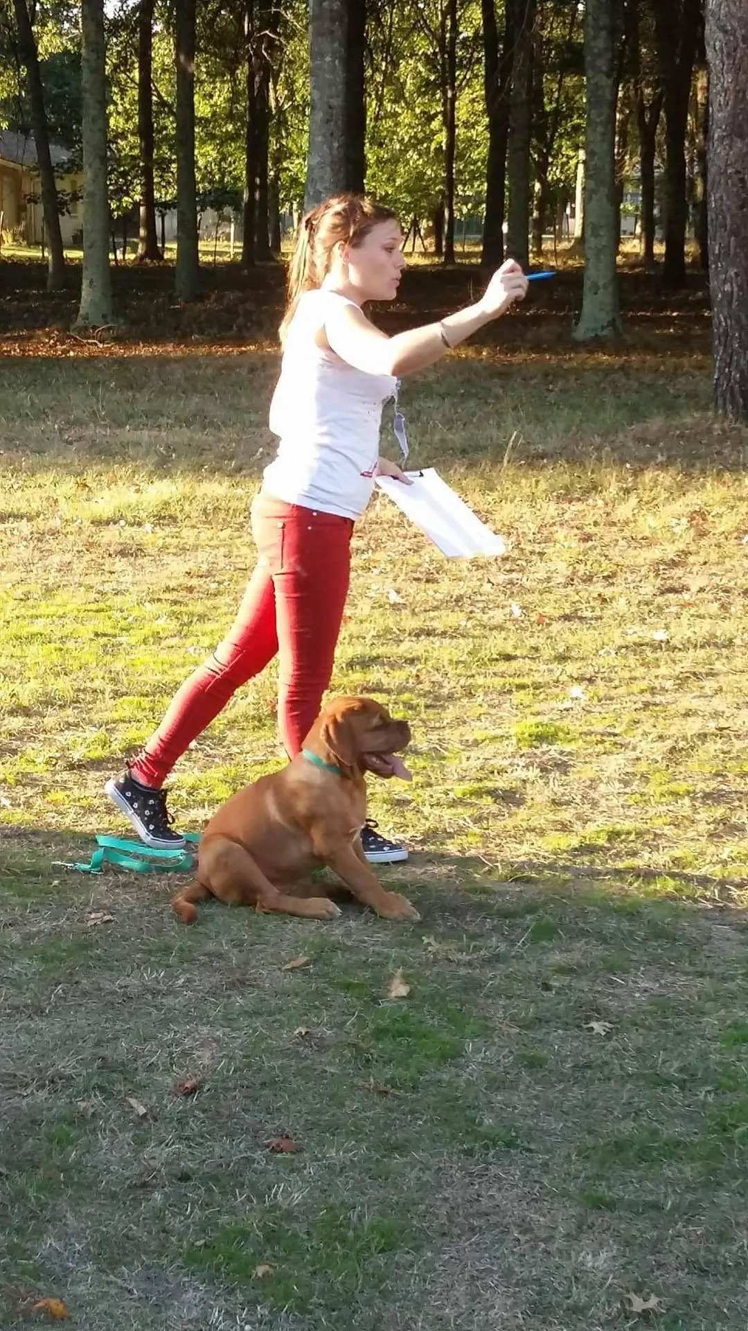 educatrice canin et dog de bordeaux