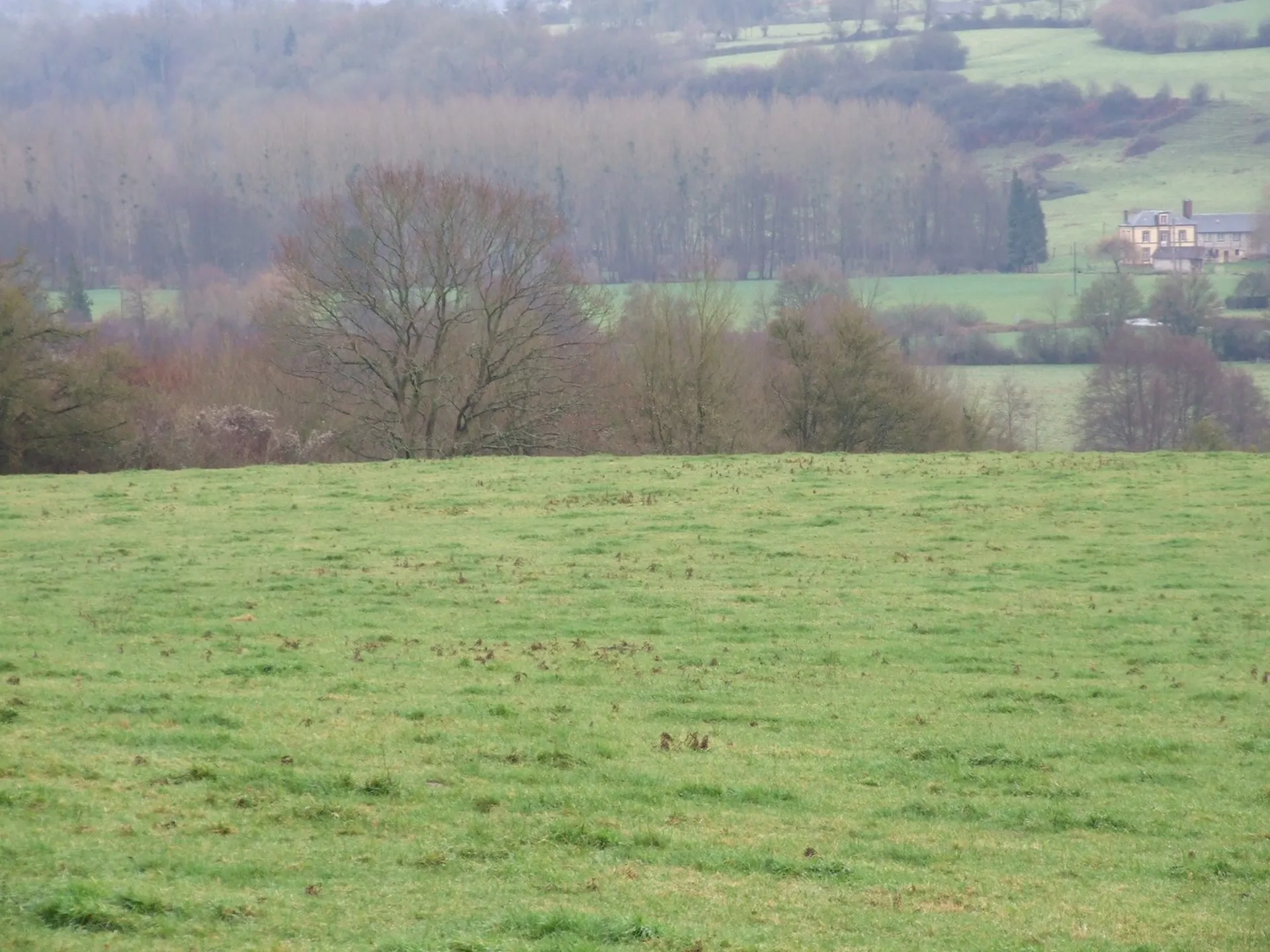 HERBAGES ET BOIS A VENDRE NORMANDIE, CALVADOS 14