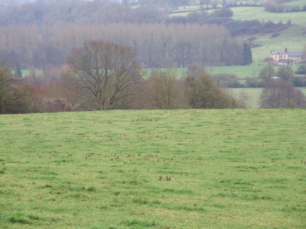 HERBAGES ET BOIS A VENDRE NORMANDIE, CALVADOS 14