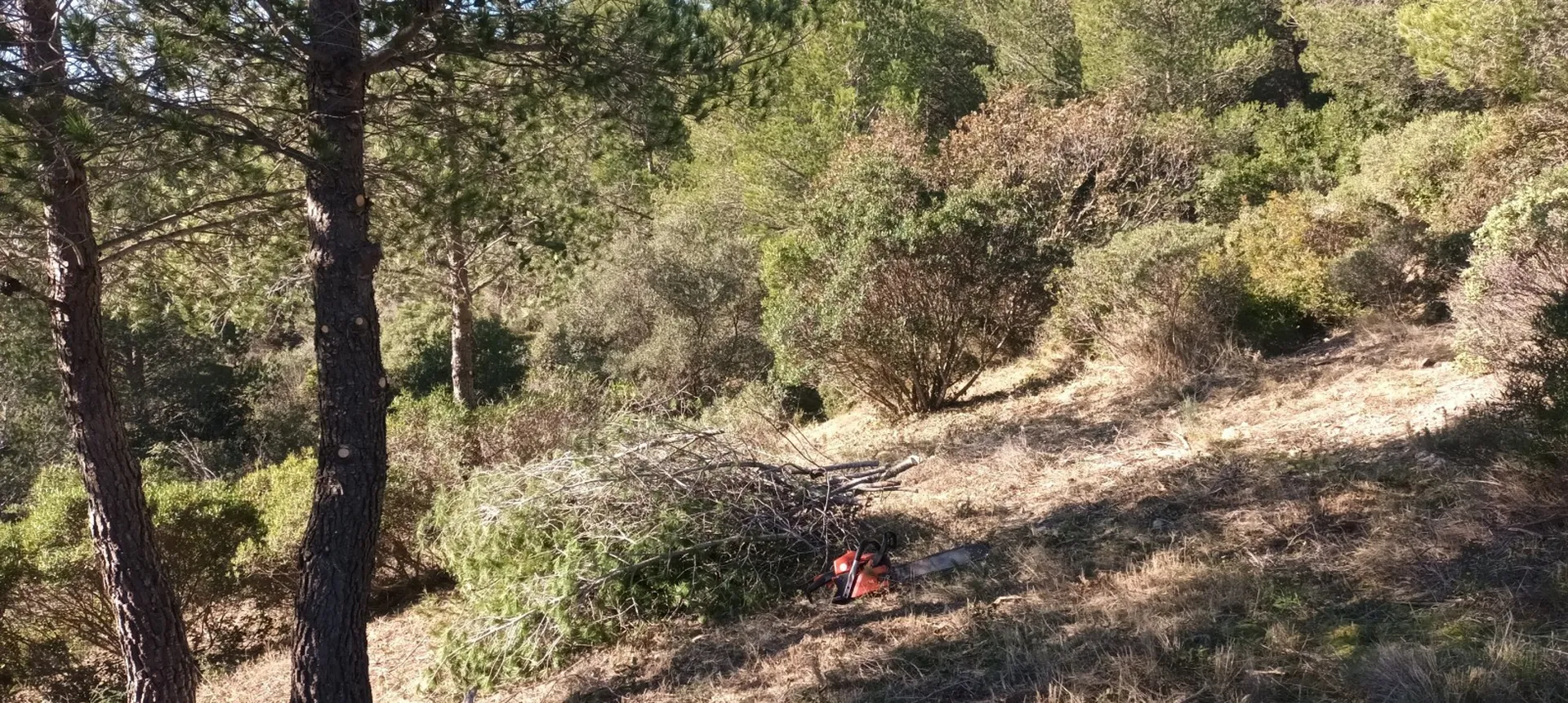 tarif pour entretien obligatoire marseille