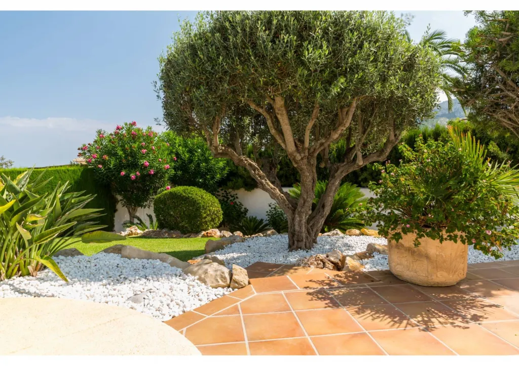 Remise en état de jardin à Avignon, pour créer un espace extérieur verdoyant