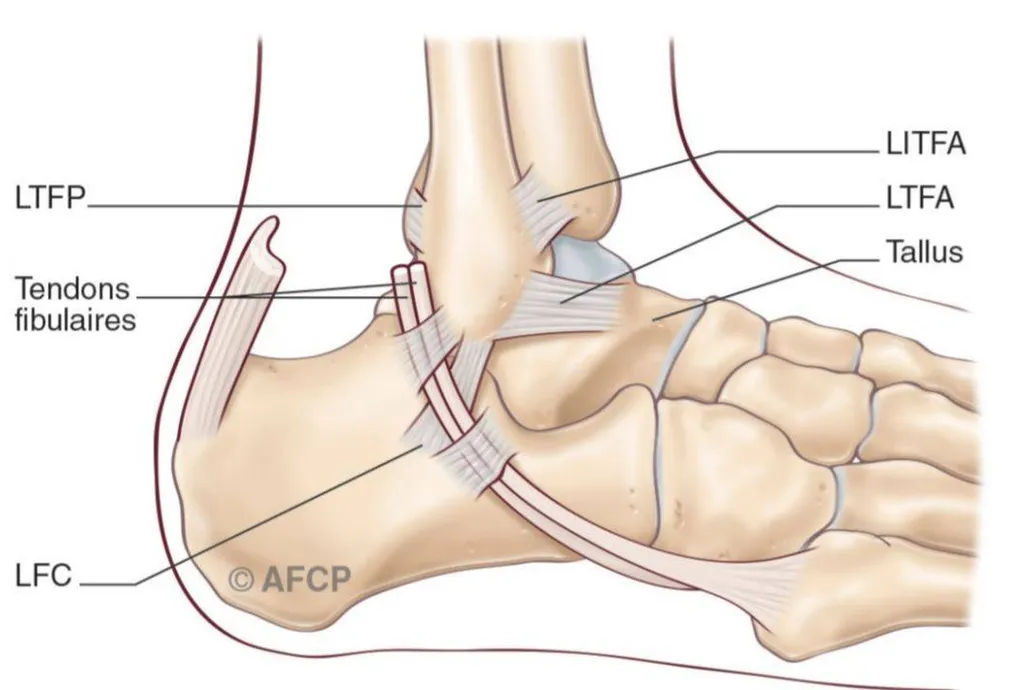 Docteur Julien Beldame, chirurgien orthopédiste, exclusif Pied Cheville, Fondateur de l'Institut de la Cheville et du Pied à Amiens (ICP Amiens), consulte à l'ICP Paris