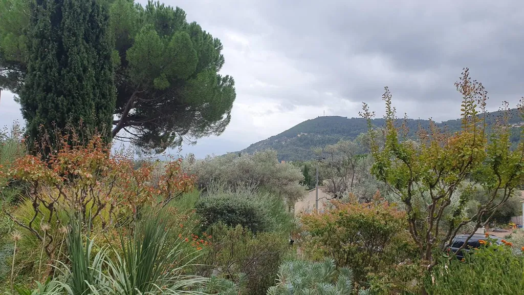 a bâtir sur Solliès-Pont