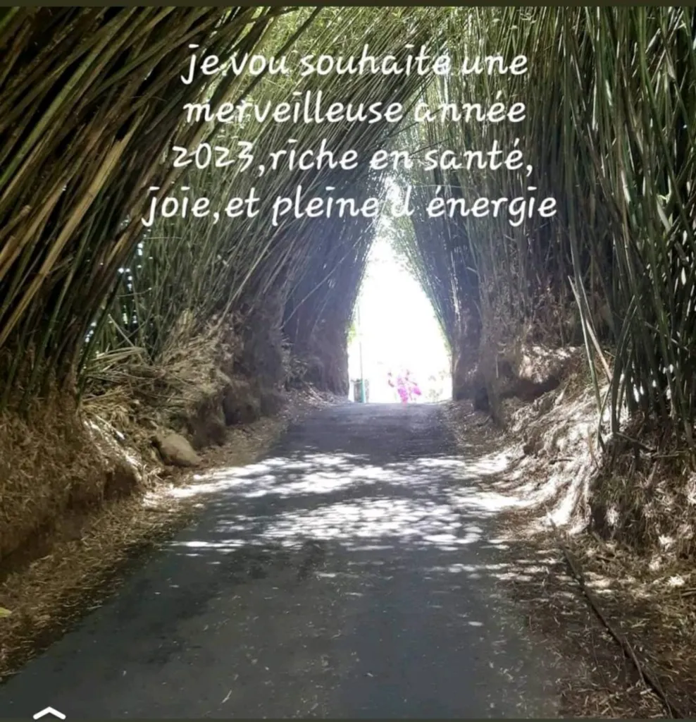 Bonne année 2023