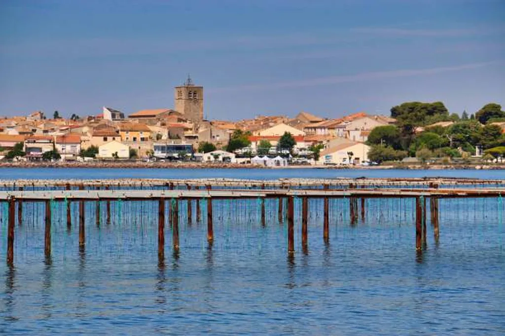 L'Etang de Thau proche du camping 4 étoiles Le Mas de la Plage à Vias