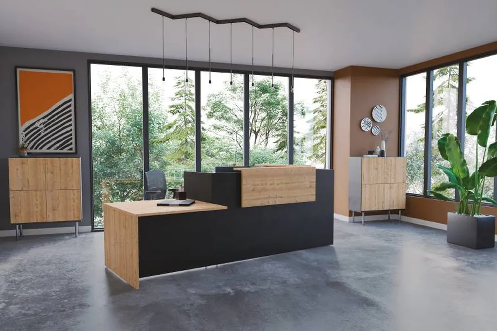 Réception accueil BURONOMIC à Lyon