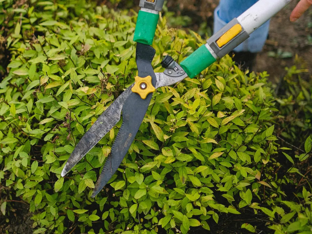 Jardinier paysagiste à Avignon pour entretien d'espace vert