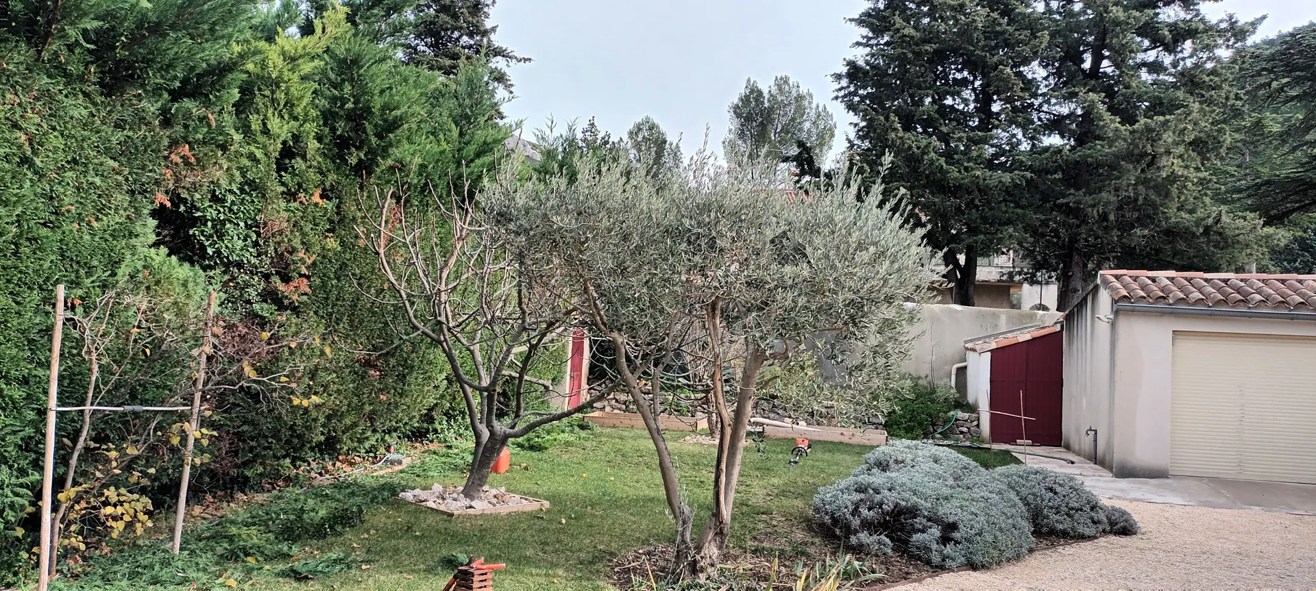 Taille d'un jardin à vaufreges 9ème à Marseille. 