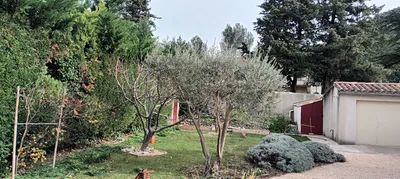 Taille d'un jardin à vaufreges 9ème à Marseille. 