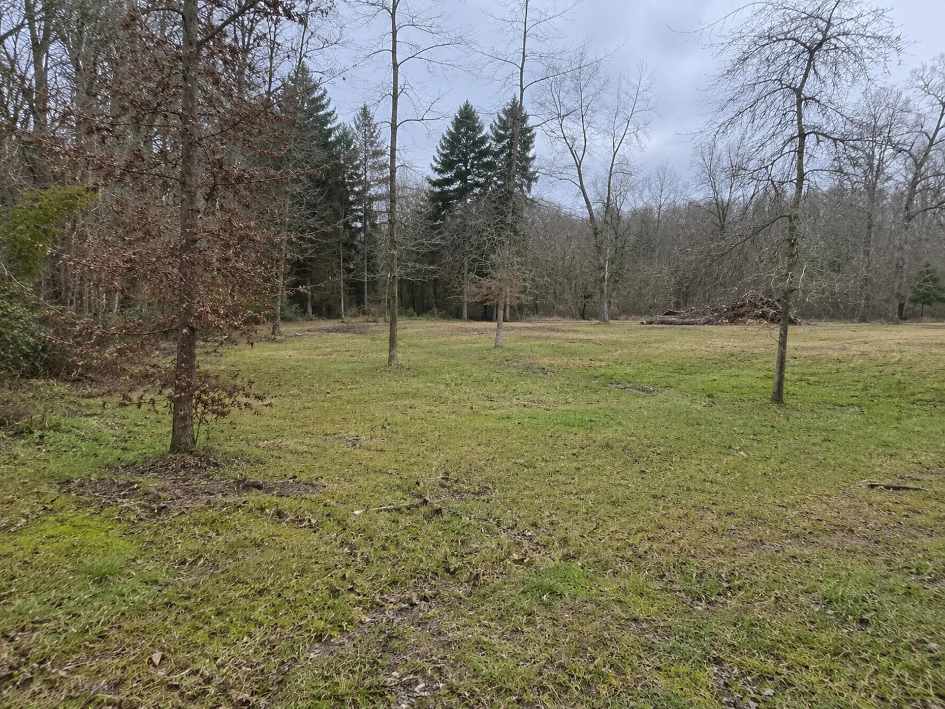 À découvrir sur la commune de Le Pian-Médoc, ce superbe terrain de 1 500 m² en seconde ligne offre un cadre de vie privilégié