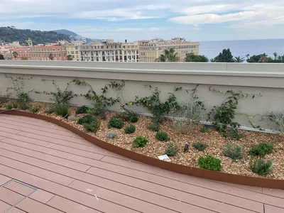 Toiture végétalisée à Nice Place Massena